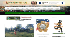 Desktop Screenshot of dambovitapenet.ro